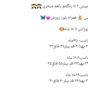 بیلر و بلوز تدی