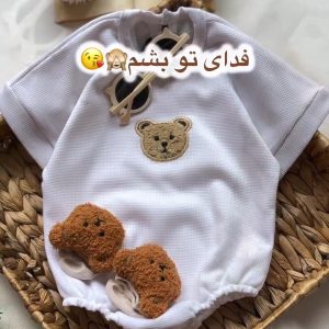 بادی  تدی بیسکوییتی